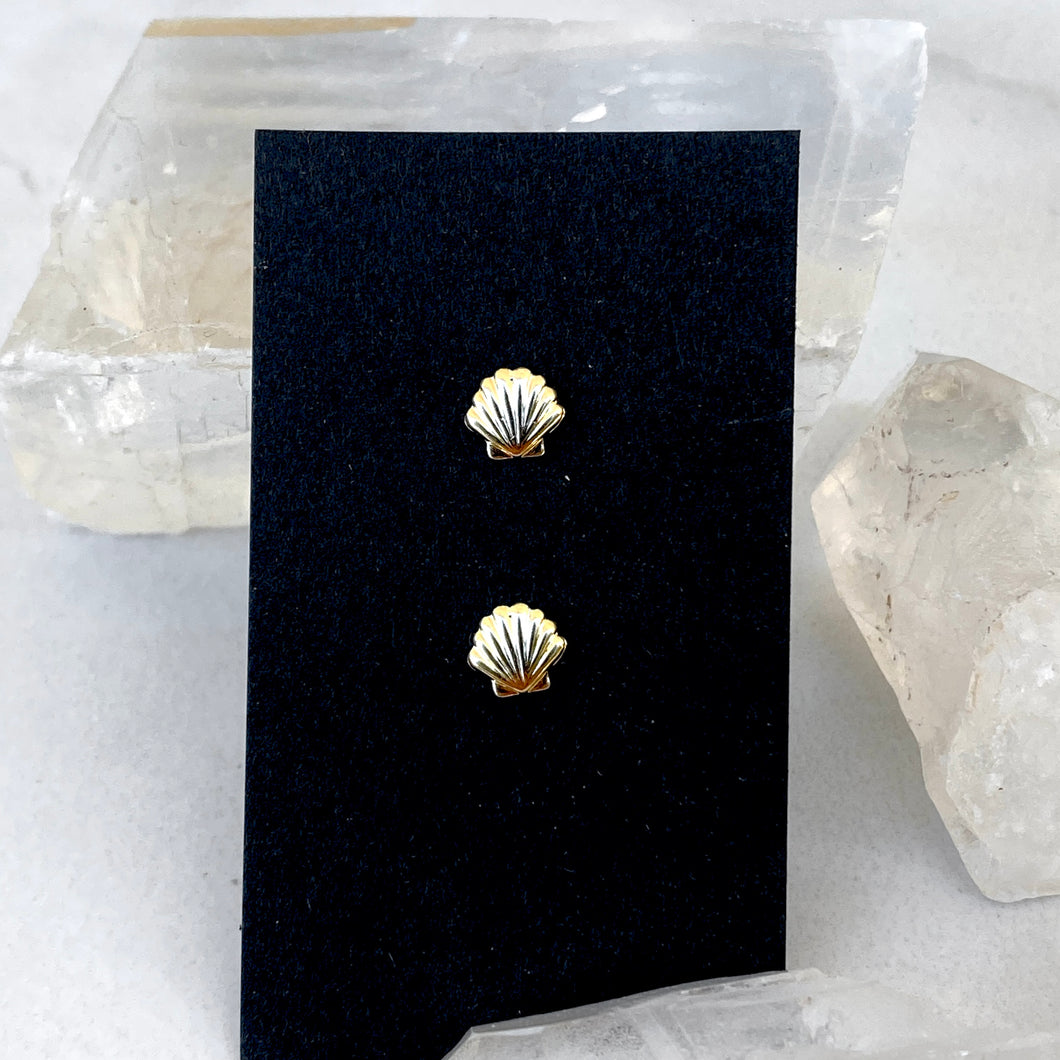 14k Gold Fill Sea Shell Studs