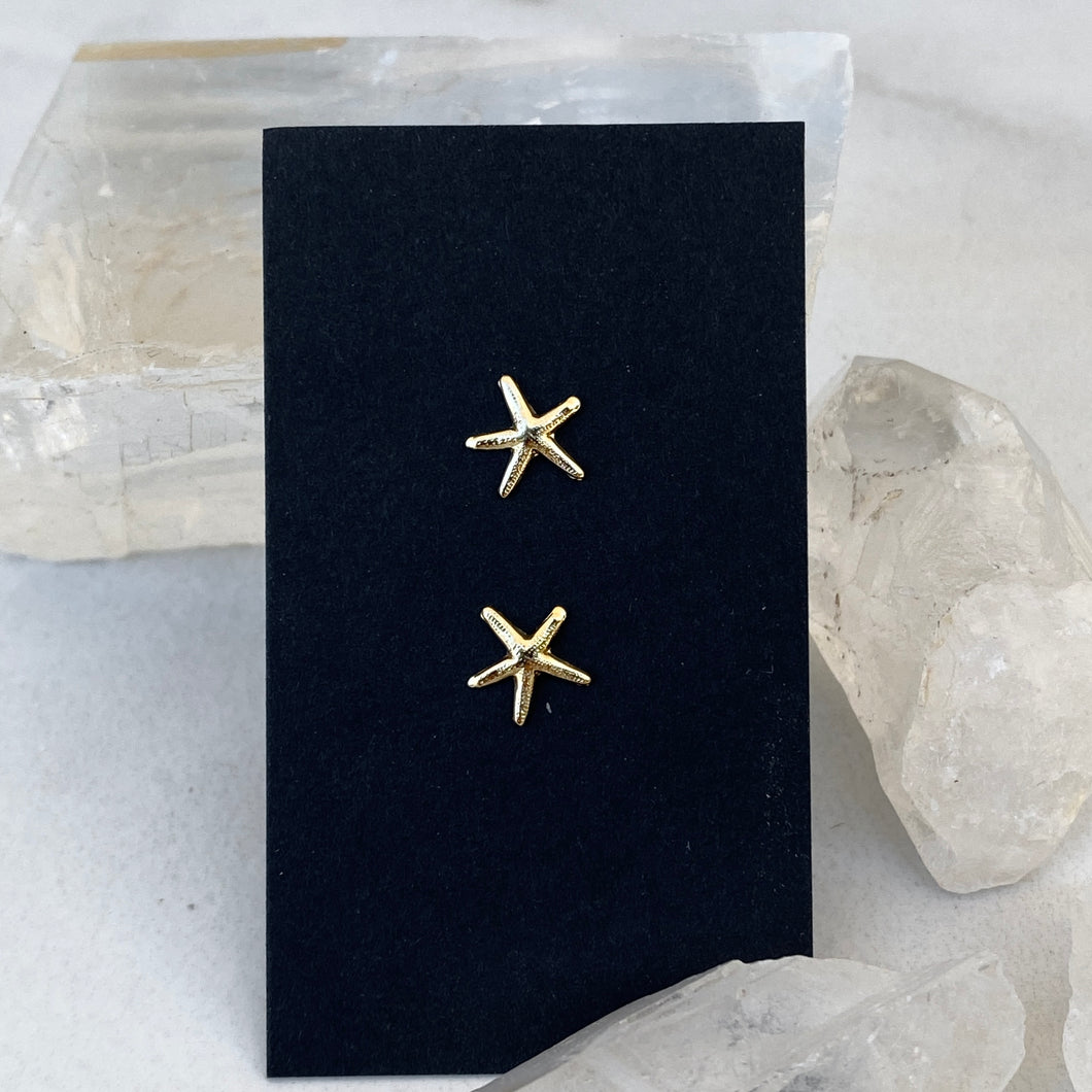 14k Gold Fill Star Fish Studs