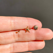 14k Gold Fill Sea Shell Studs